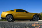2010_mustang_gold_e.jpg (139kb)
