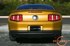 2010_mustang_gold_g.jpg (178kb)