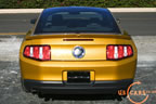 2010_mustang_gold_h.jpg (174kb)