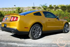 2010_mustang_gold_j.jpg (209kb)