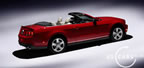 2010_mustang_d6.jpg (47kb)