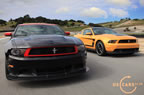 mustang_boss-302_a3.jpg (166kb)