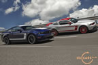 mustang_boss-302_a7.jpg (183kb)