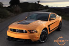 mustang_boss-302_b1.jpg (176kb)