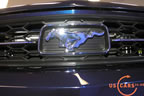 mustang_autoshow_b2.jpg (115kb)
