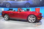 mustang_autoshow_b8.jpg (118kb)