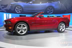 mustang_autoshow_d9.jpg (124kb)
