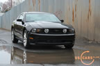 2010_mustang_ny_b1.jpg (308kb)
