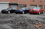 2010_mustang_ny_b8.jpg (499kb)