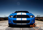 shelby_gt500_d5.jpg (133kb)