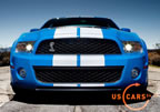 shelby_gt500_d6.jpg (155kb)