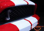 shelby_gt500_e8.jpg (89kb)