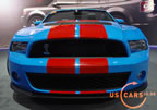 shelby_gt500_g3.jpg (176kb)