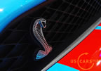 shelby_gt500_g8.jpg (127kb)
