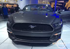 15_mustang_detroit_b5.jpg (189kb)