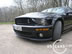 shelby_f_5.jpg (76kb)
