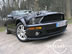 shelby_f_6.jpg (78kb)