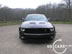 shelby_h_4.jpg (59kb)