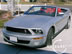 shelby_i_8.jpg (60kb)