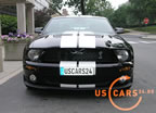 shelby_a.jpg (132kb)