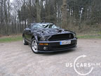 shelby_e_7.jpg (78kb)