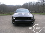 shelby_h_4.jpg (59kb)